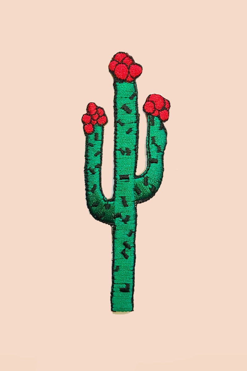 Saguaro Cactus Patch