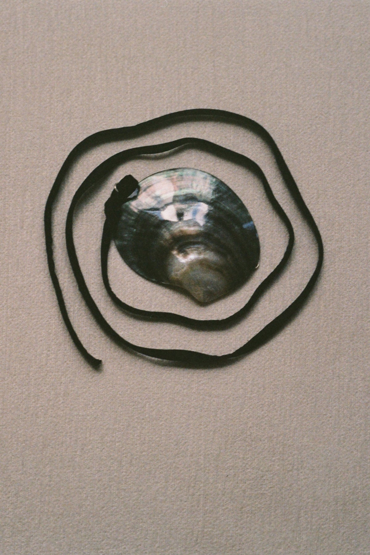 Shell Belt with Natural Shells and Adjustable Silk Tie