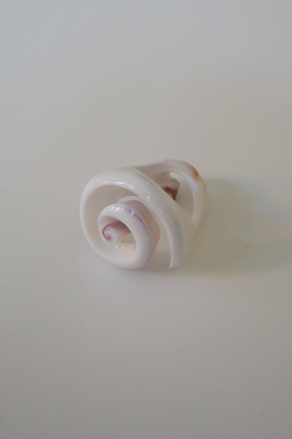 White natural shell ring with a raised spiral design by Kat Zarra from the New Arrivals and Kat Zarra collections